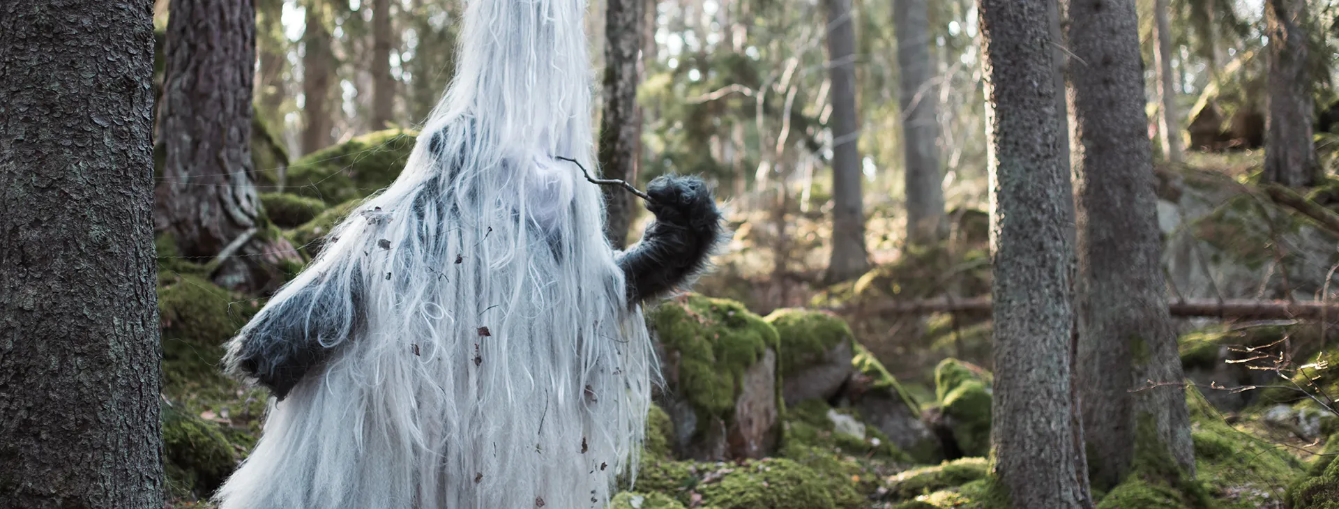 A big furry animal standing in the middle of a forest.