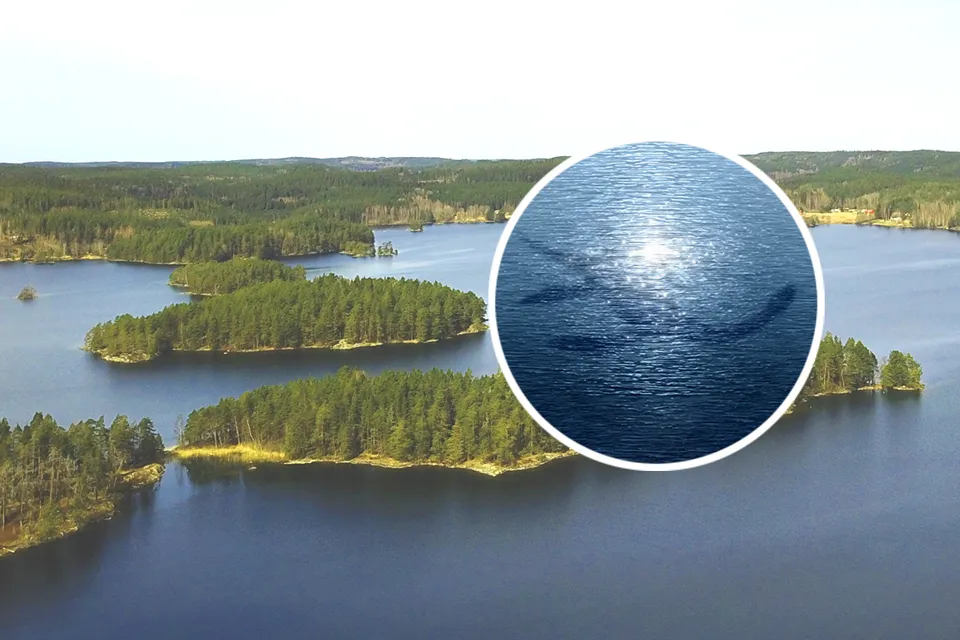 A large body of water surrounded by trees.