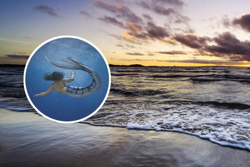 A picture of a mermaid swimming in the ocean.