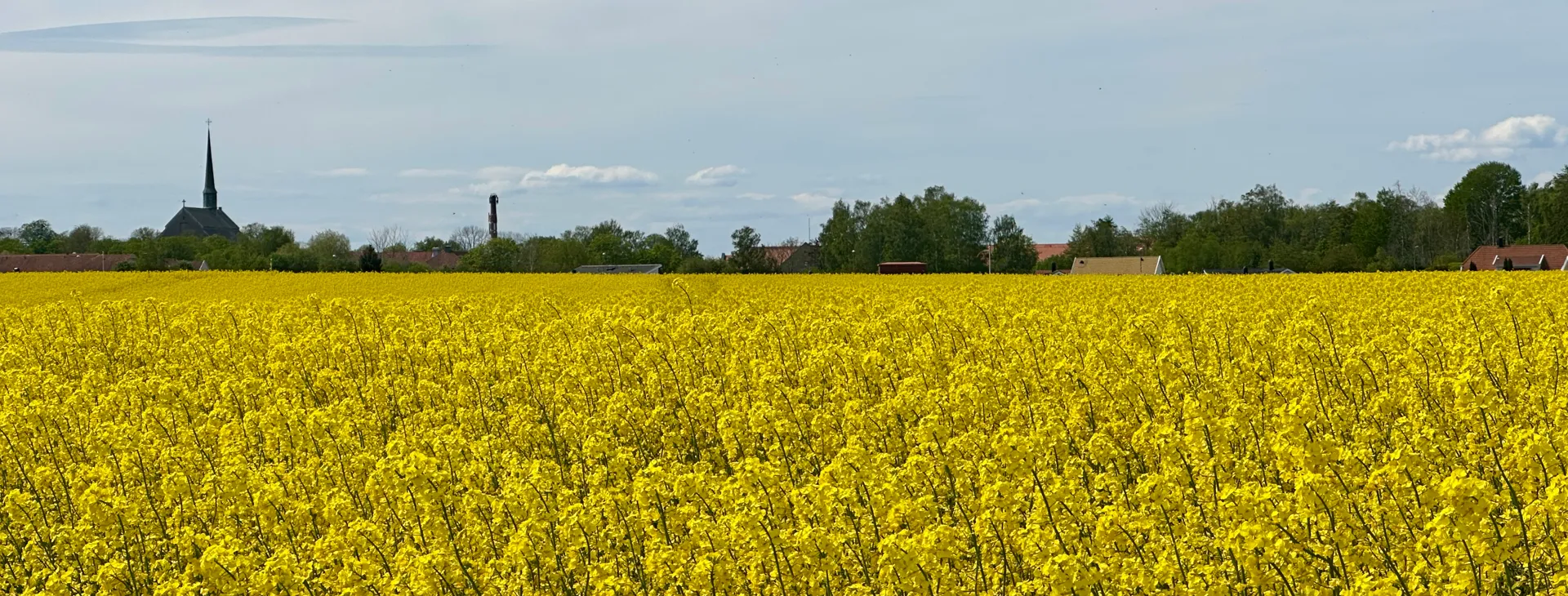 Pilgrimsvandring mellan Linköping och Vadstena