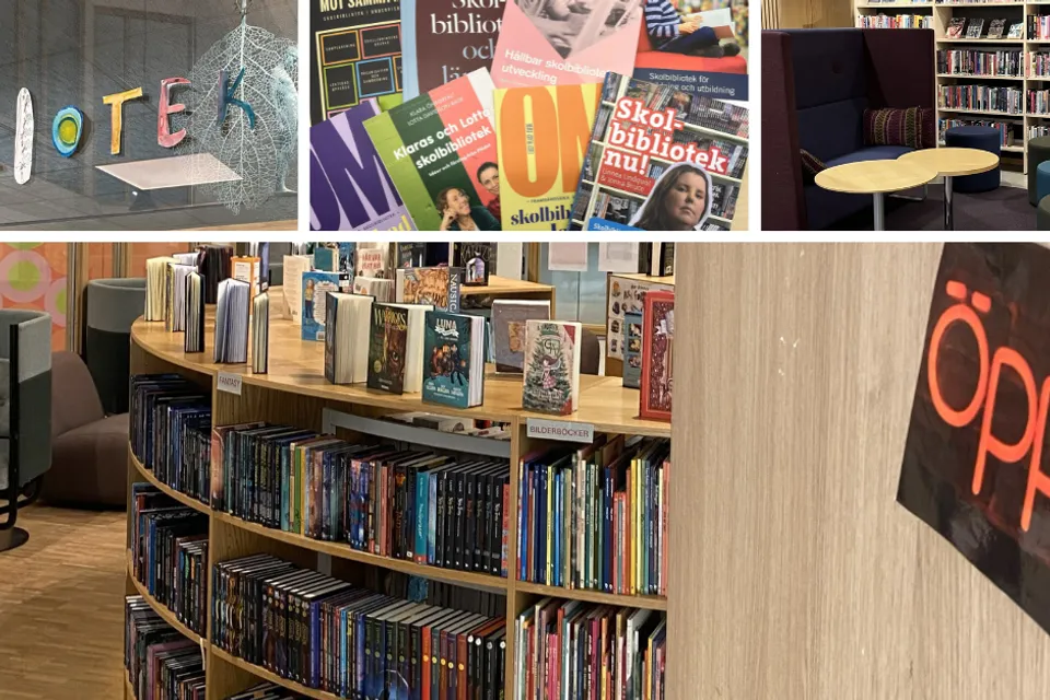 bilder på bibliotek med bokhyllor och böcker