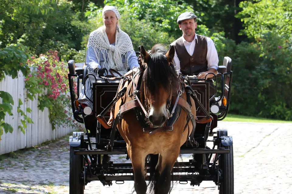 Häst och vagn vid Gamla Linköping