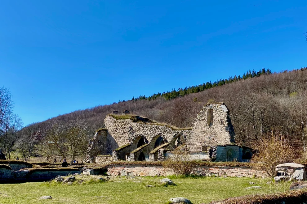 Alvastra Klosterruin